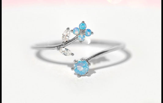 Silver Ring